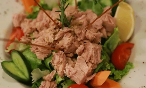 تجربتي مع رجيم التونة