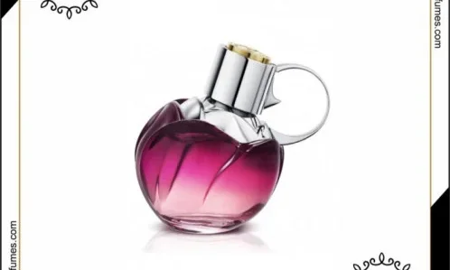 تجربتي مع موقع 724 perfumes