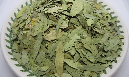 تجربتي مع سنا مكي