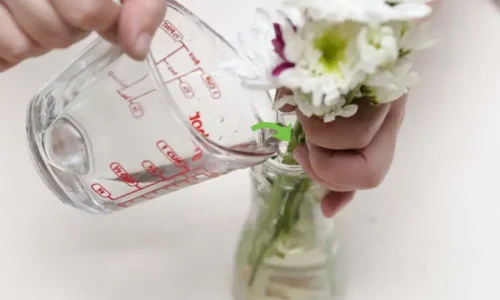 اكتشف أهم طريقة لحفظ الورد الطبيعي