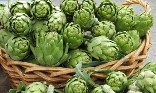 ما هي تأويلات ابن سيرين لرؤية الخرشوف في المنام للمطلقة؟