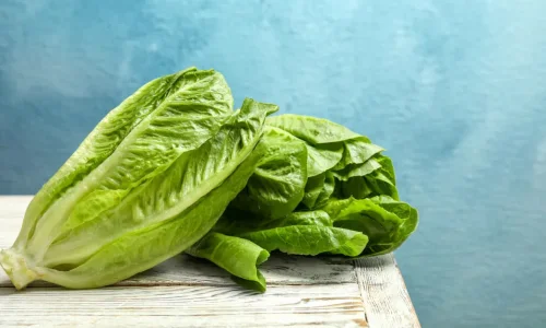 ما تفسير الخس في المنام للرجل لابن سيرين؟