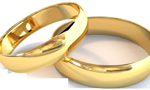 ما تفسير حلم الدبل في المنام لابن سيرين؟