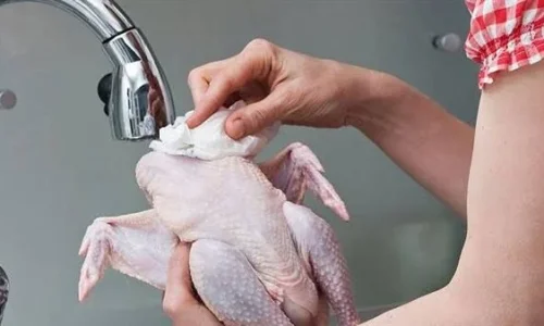 ما تأويل رؤية الدجاج المذبوح في المنام للعزباء لابن سيرين؟