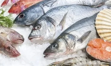 ما تفسير ابن سيرين لرؤية السمك المقطع في المنام؟