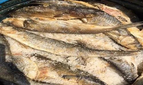 ما تأويل رؤية السمك المملح في المنام للعزباء؟