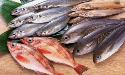 ما تفسيرات رؤية السمك الميت في المنام للرجل؟