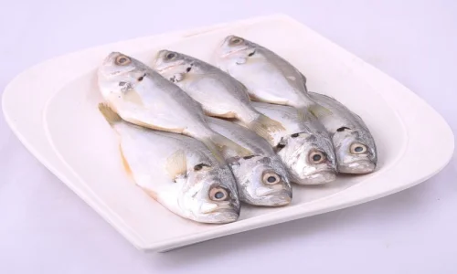 ما تأويل رؤية السمكة البيضاء في المنام لابن سيرين؟