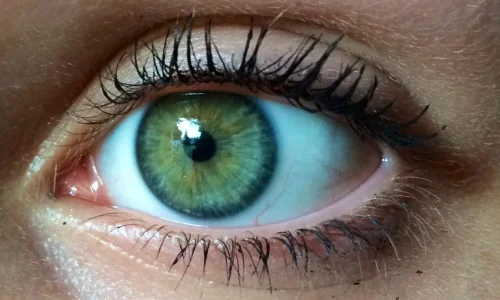 ما تأويلات رؤية العيون الخضراء في المنام للمتزوجة؟