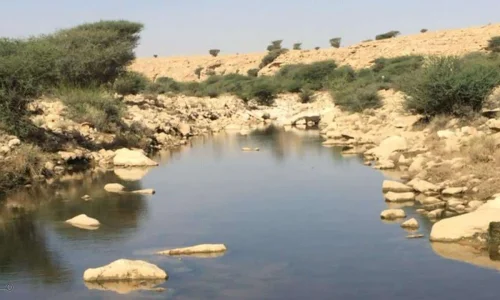 ما تأويل ابن سيرين لرؤية الغدير في المنام؟