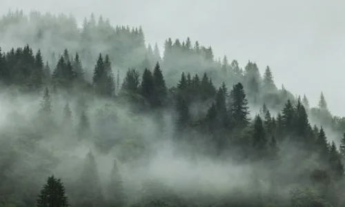 ما تأويل رؤية الغيوم والضباب في المنام؟