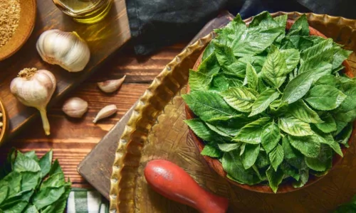 أهم تفسيرات ابن سيرين لرؤية الملوخية في المنام