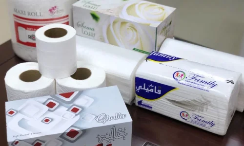 تعرف على أهم تفسيرات ابن سيرين لرؤية المناديل في المنام للعزباء