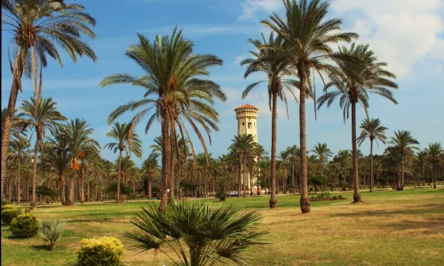 تعرف على أهم 50 تفسير لابن سيرين لرؤية المنتزه في المنام