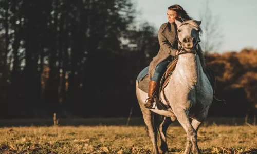 ما هي تفسيرات ابن سيرين للحلم بركوب الحصان في المنام؟