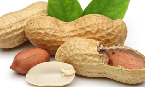 اعرف أهم 50 تفسير لابن سيرين لرؤية السوداني في المنام