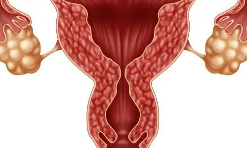تعرف على أهم تأويلات ابن سيرين لرؤية الرحم في المنام