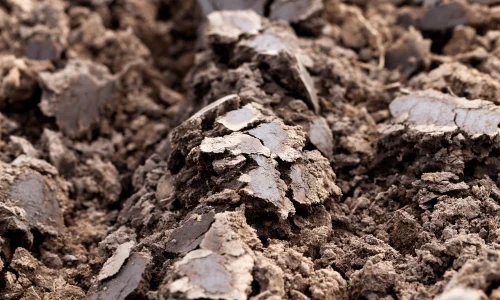 تعرف على أهم 20 تأويل لكبار المفسرين لرؤية الطين في المنام للعزباء