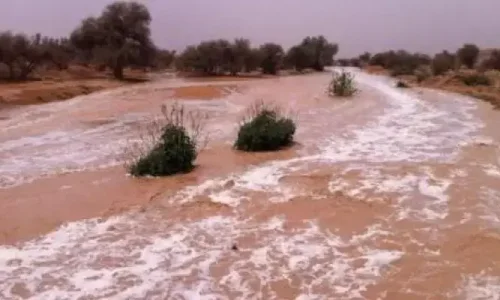تعرف على أهم الدلالات التي وردت عن ابن سيرين لتفسير حلم السيول والأمطار