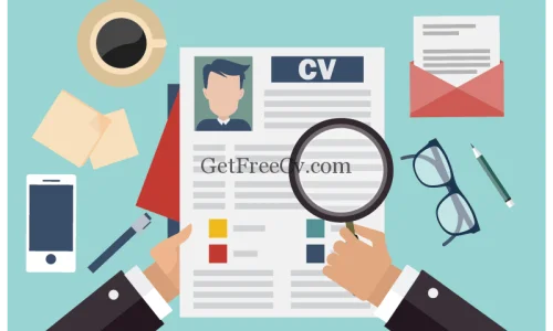 كيف اكتب سيرة ذاتية بدون خبرة عملية؟