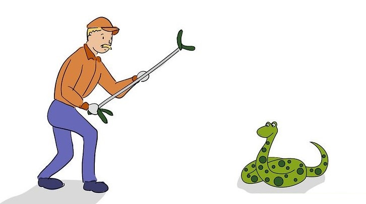 تعرف على تفسير حلم قتل الأفعى في المنام لابن سيرين