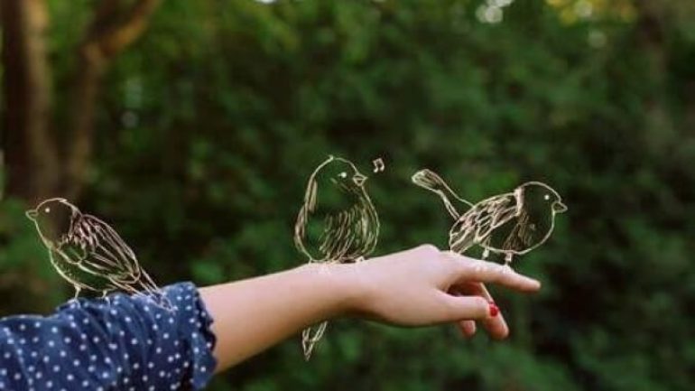 تفسير حلم العصفور