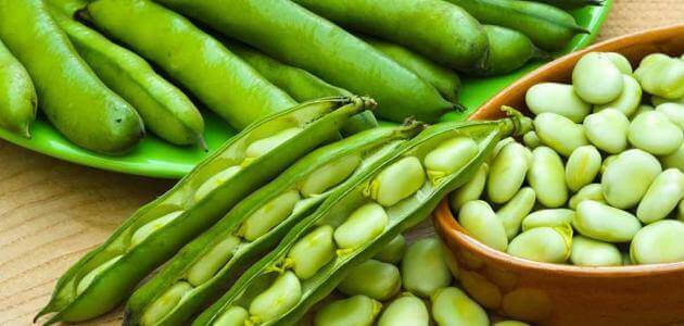 ما تفسير حلم الفول في المنام لابن سيرين