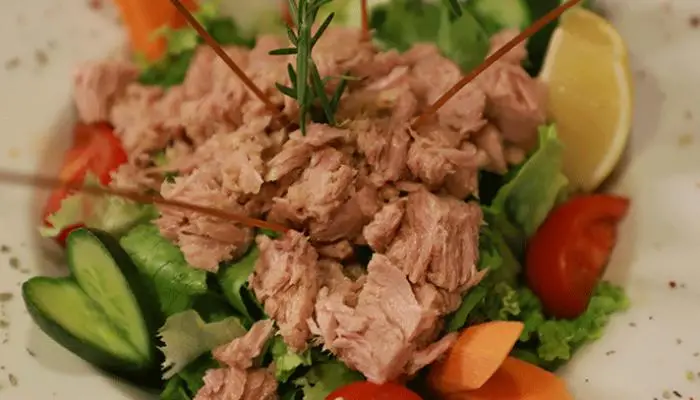 تجربتي مع رجيم التونة