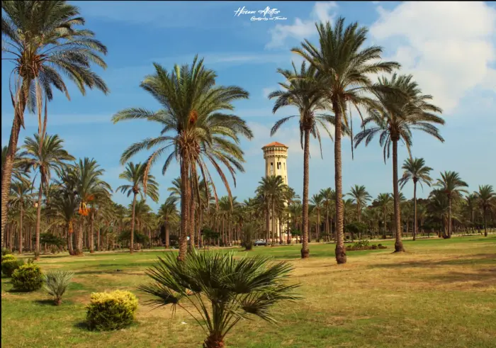 المنتزه في المنام