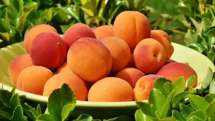 تفسير حلم اكل الخوخ